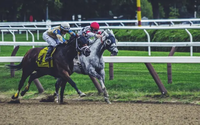 UK horse racing betting