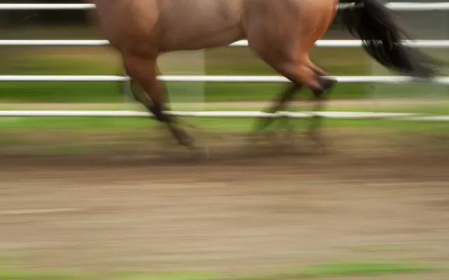 Melbourne Cup
