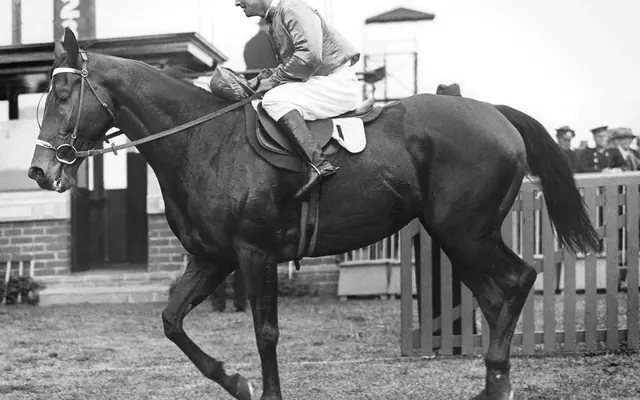 Preakness Stakes